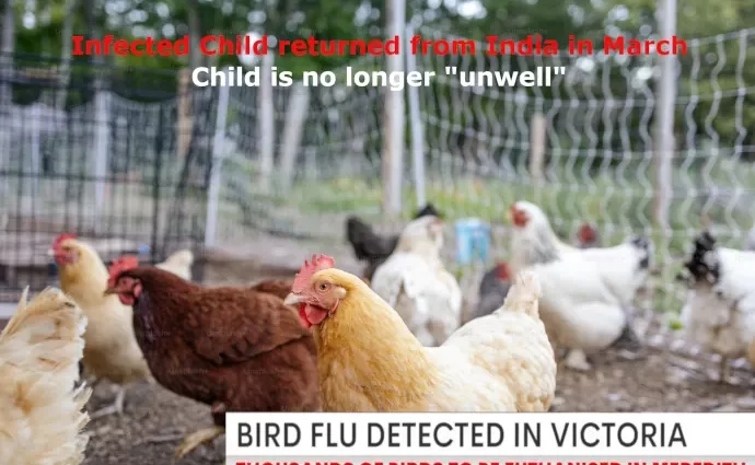 Bird flu in Victoria